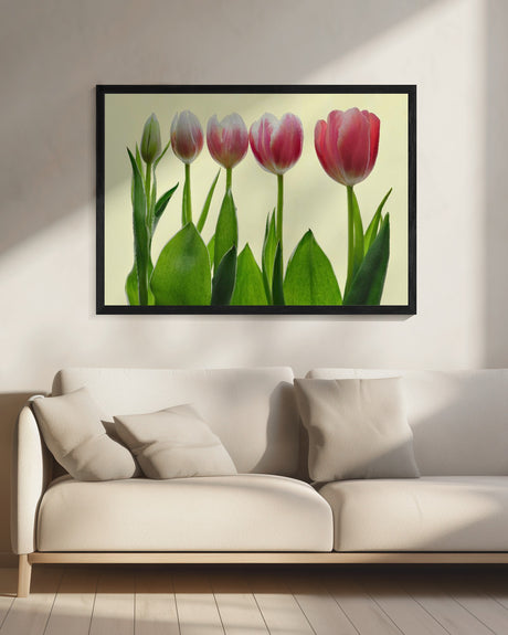color growing Poster och Canvastavla