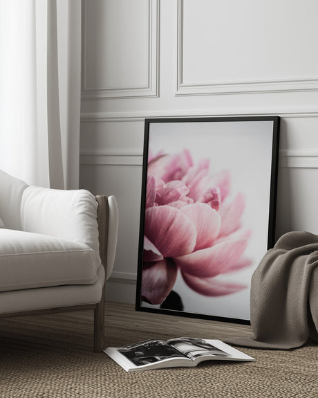 Peony 1 Poster och Canvastavla