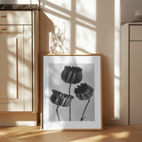 Abutilon (Lime Mallow Poster och Canvastavla