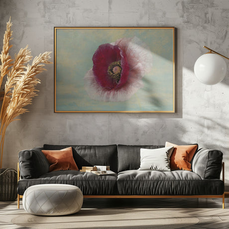 Burgundy Bonnet Poster och Canvastavla