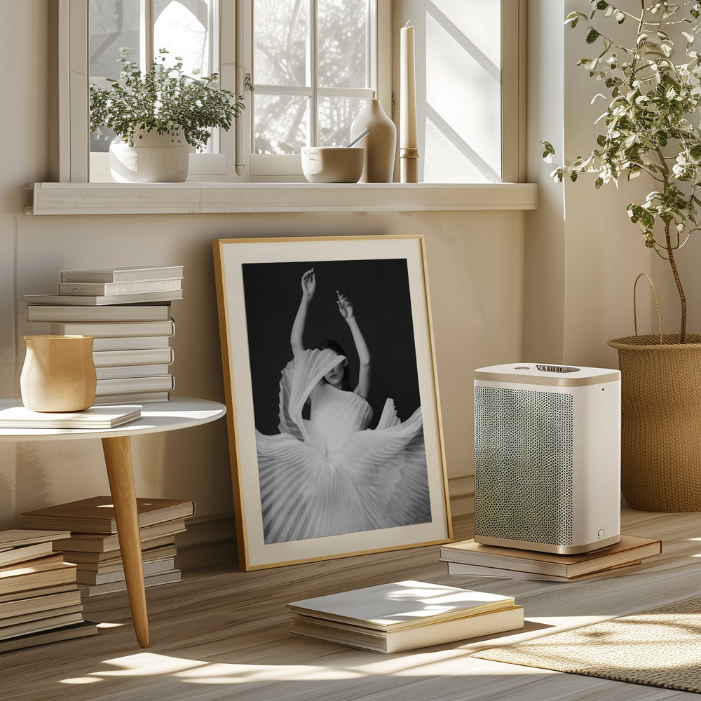 Amadeus Poster och Canvastavla