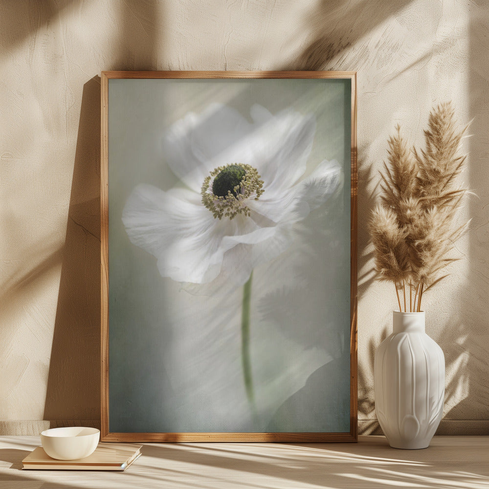 Single White Poster och Canvastavla