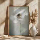 Single White Poster och Canvastavla