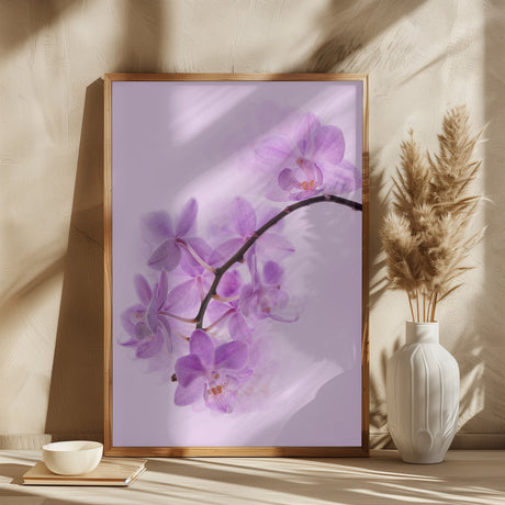 orchid fantasy Poster och Canvastavla
