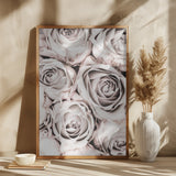 Grey Roses No 01 Poster och Canvastavla