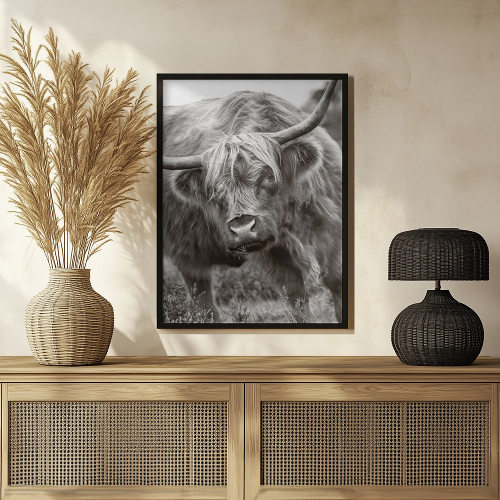 The Bull Poster och Canvastavla