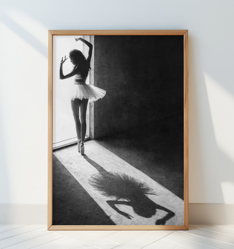 Shadow Dance Poster och Canvastavla