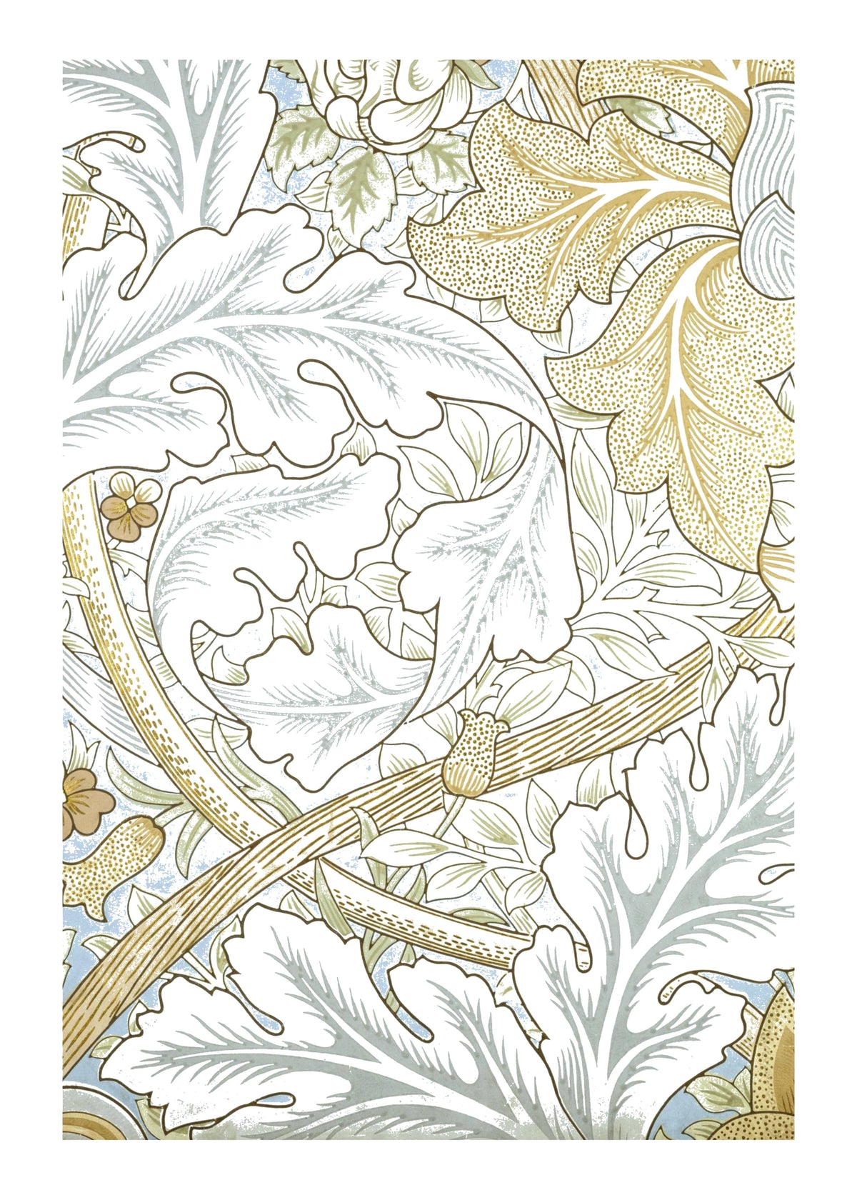 Ivory Botanical I