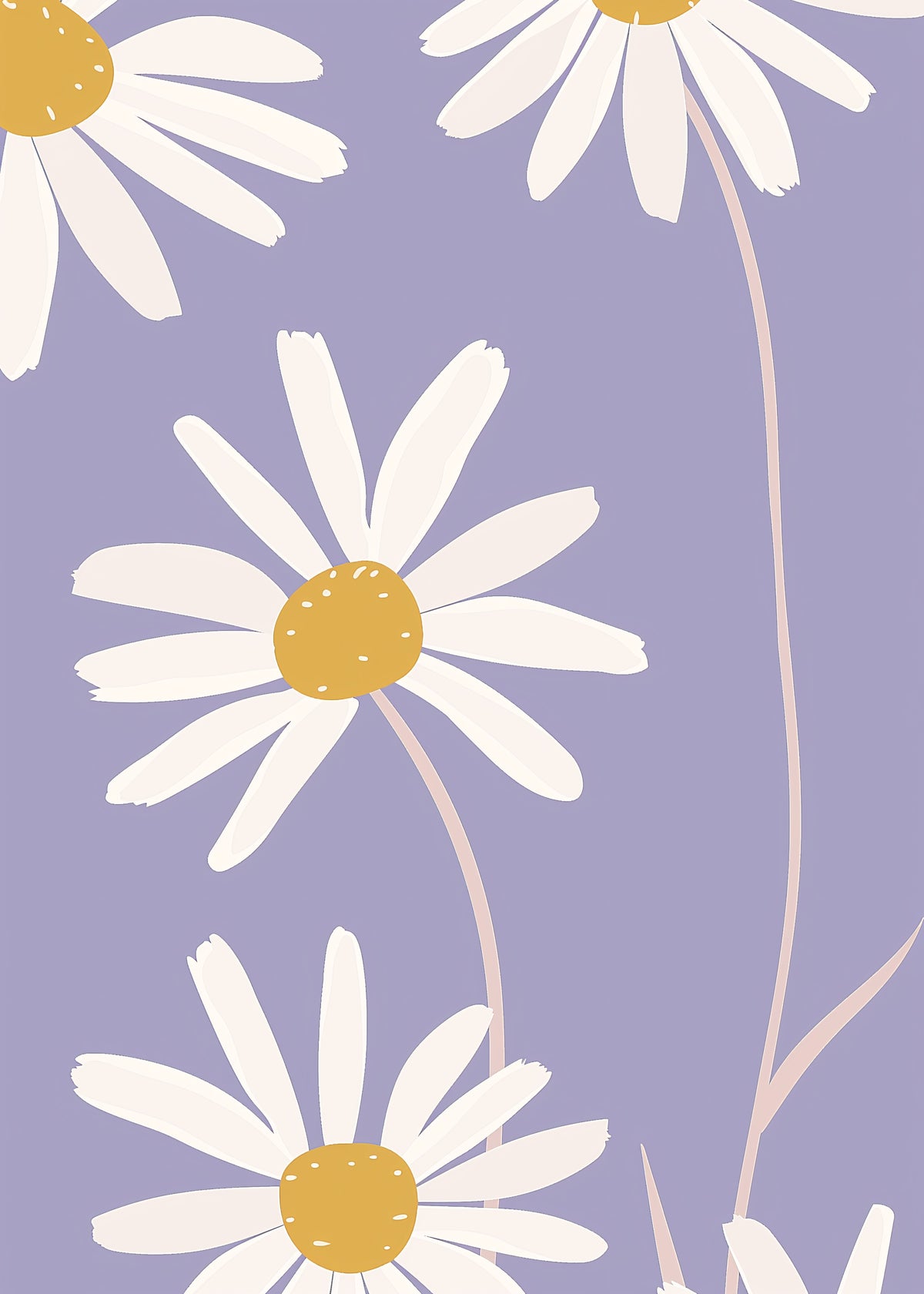 Lavender Daisy Field