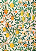 Mediterranean Citrus Garden