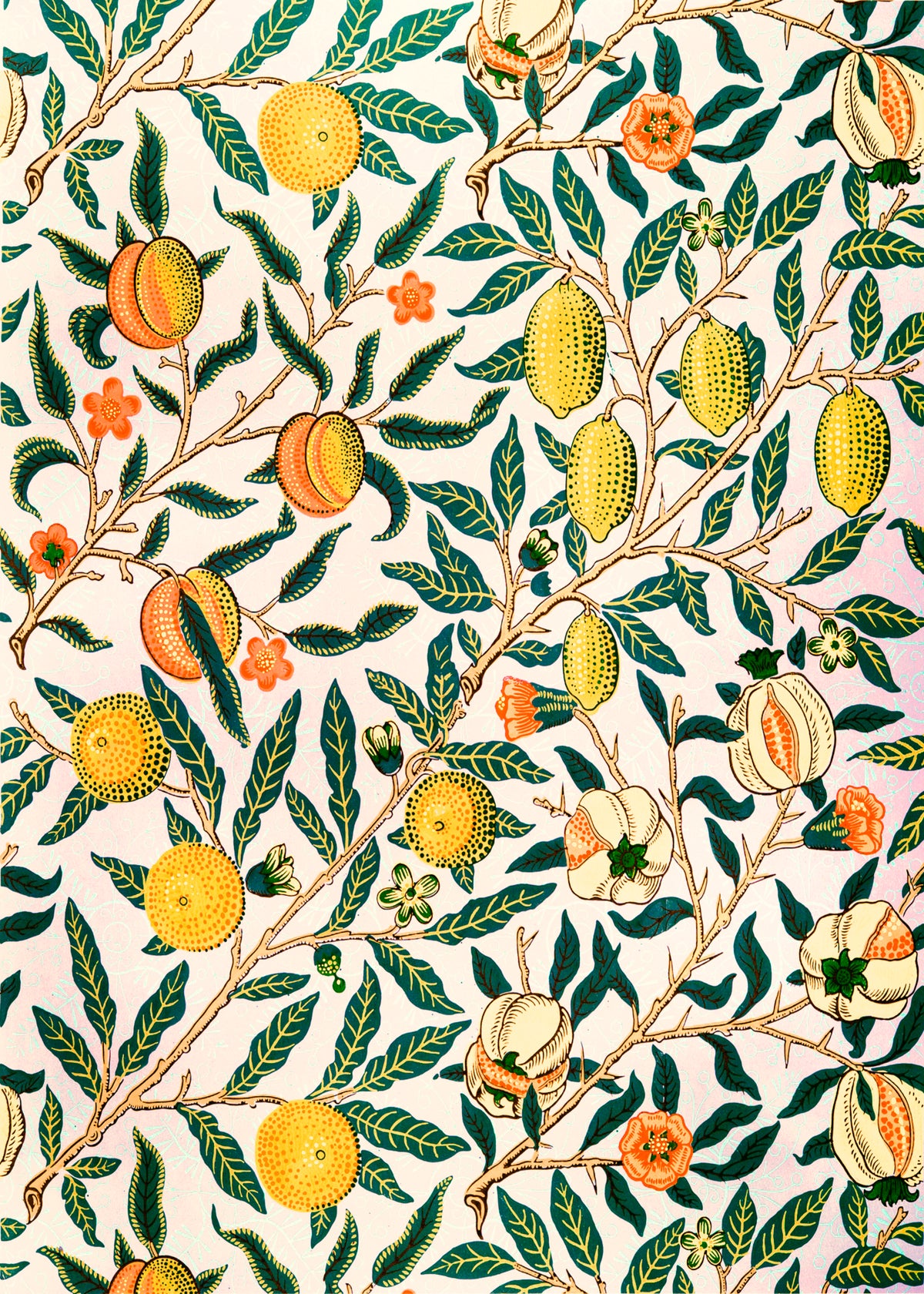 Mediterranean Citrus Garden