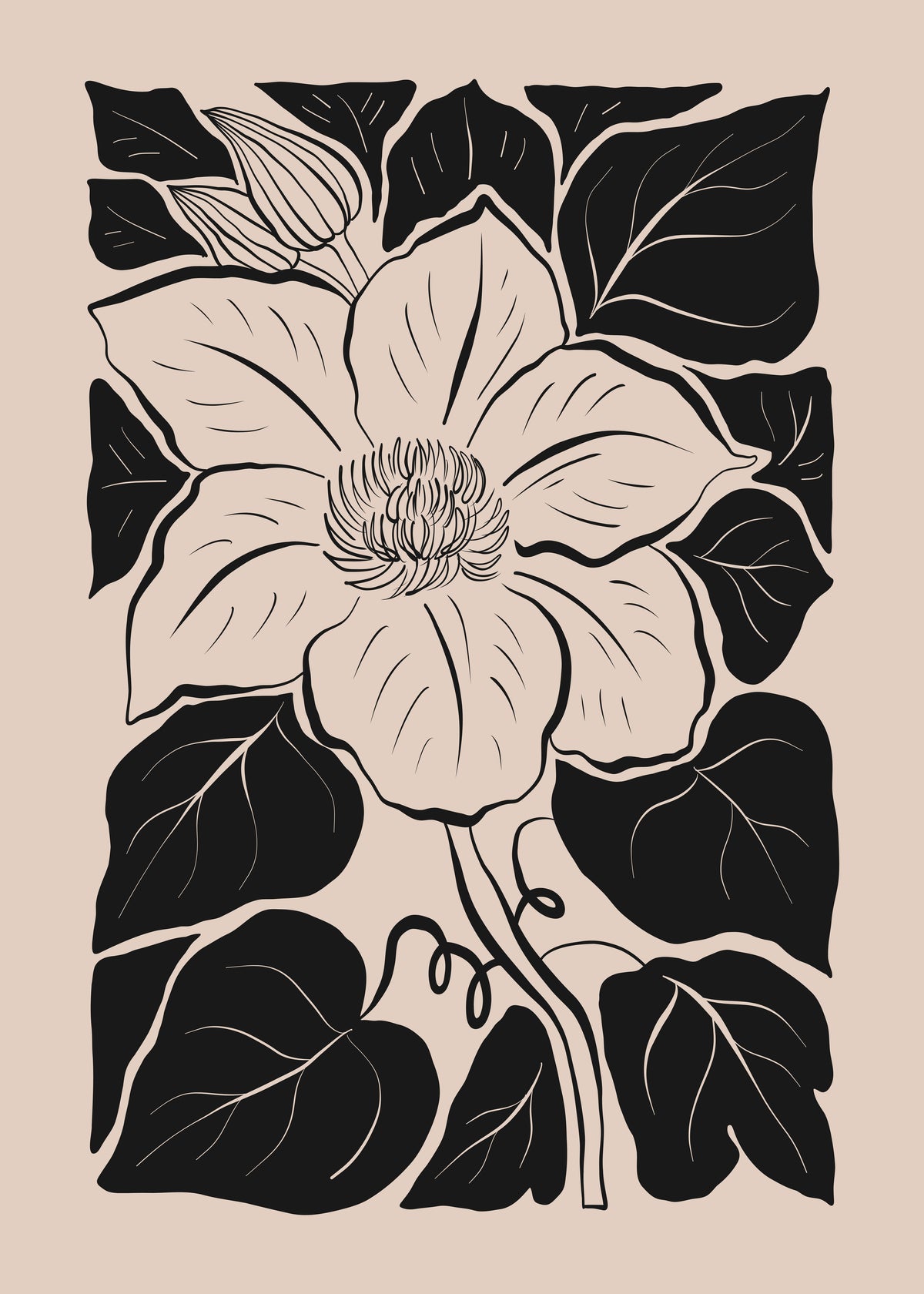 Midnight Floral Bloom