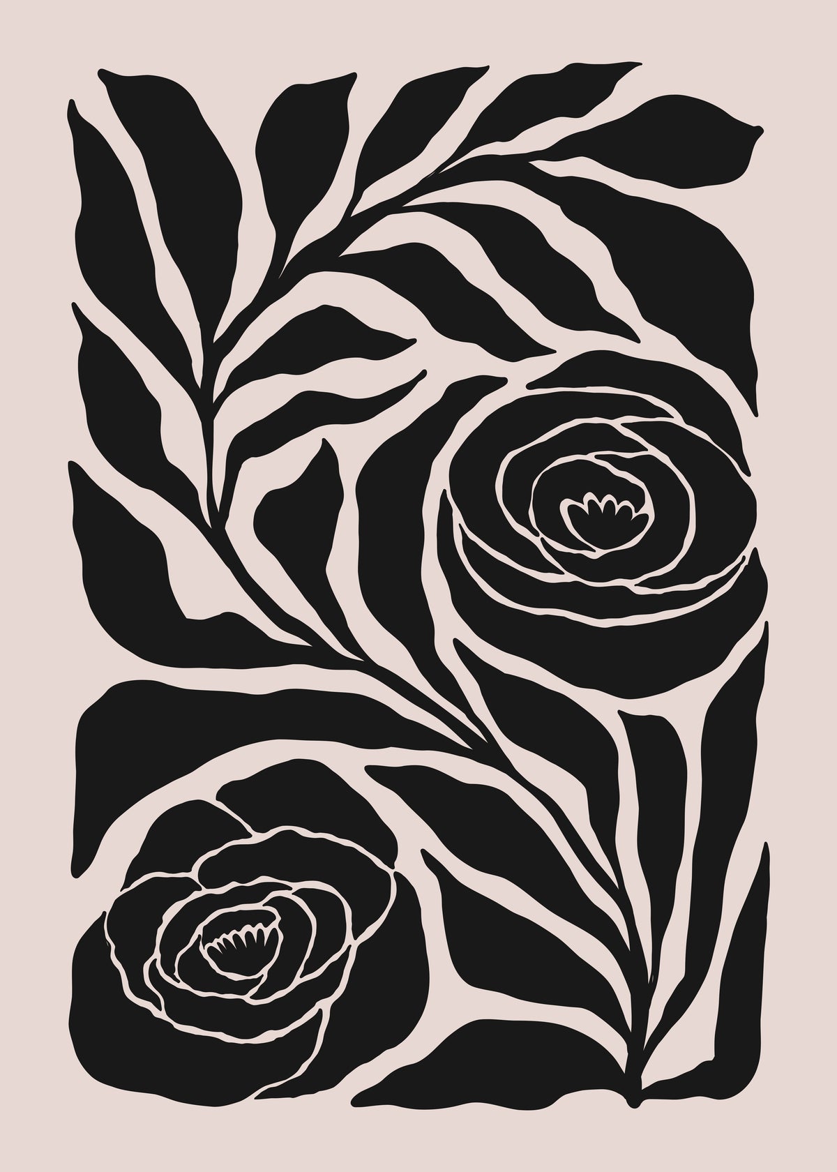 Midnight Rose Garden
