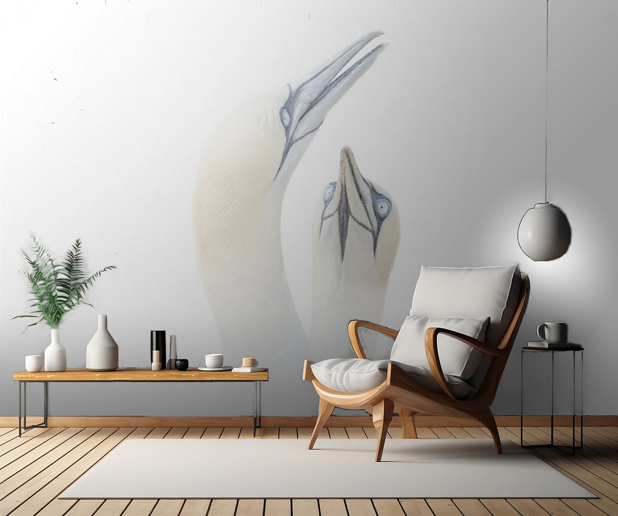 Greeting between a couple of Gannets Poster och Canvastavla