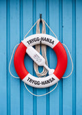 Nautical Life Ring Poster