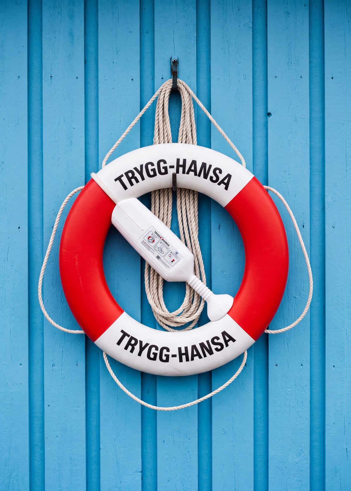 Nautical Life Ring Poster