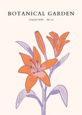 Orange Lily Bloom