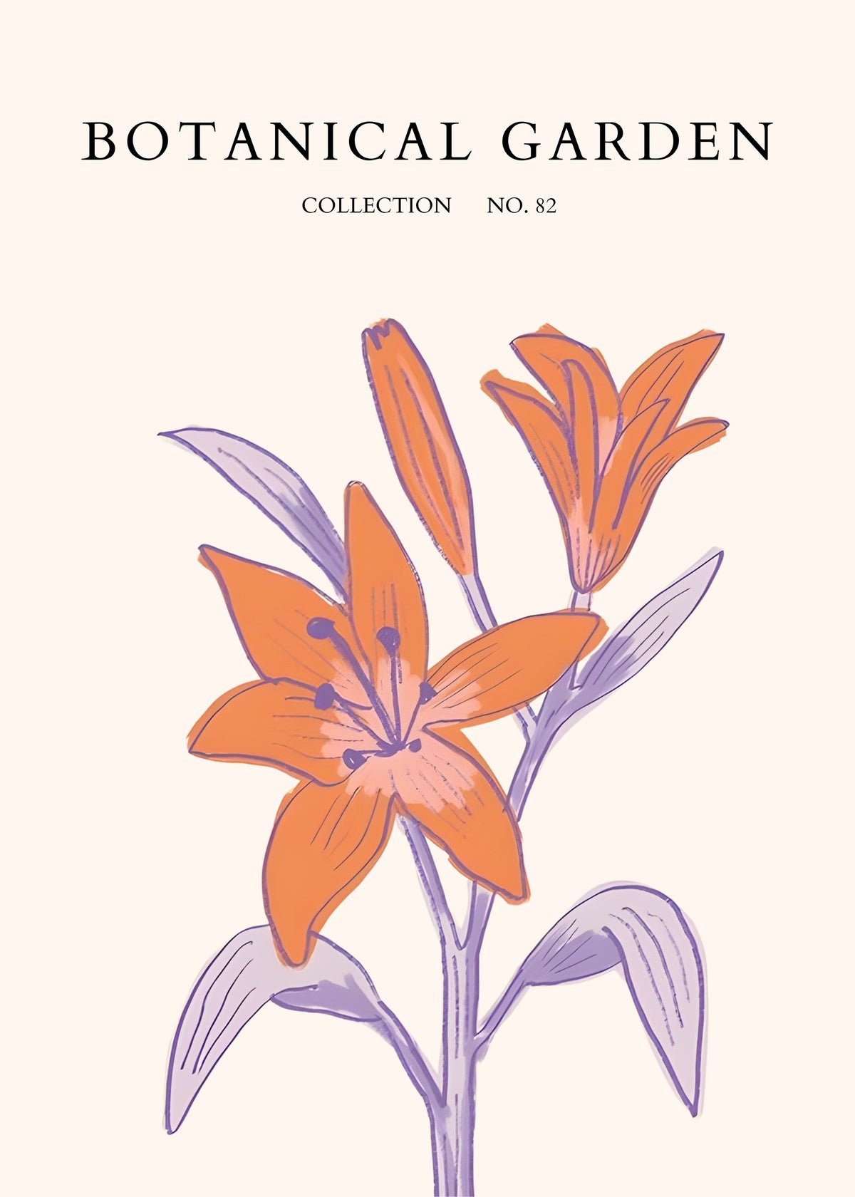 Orange Lily Bloom