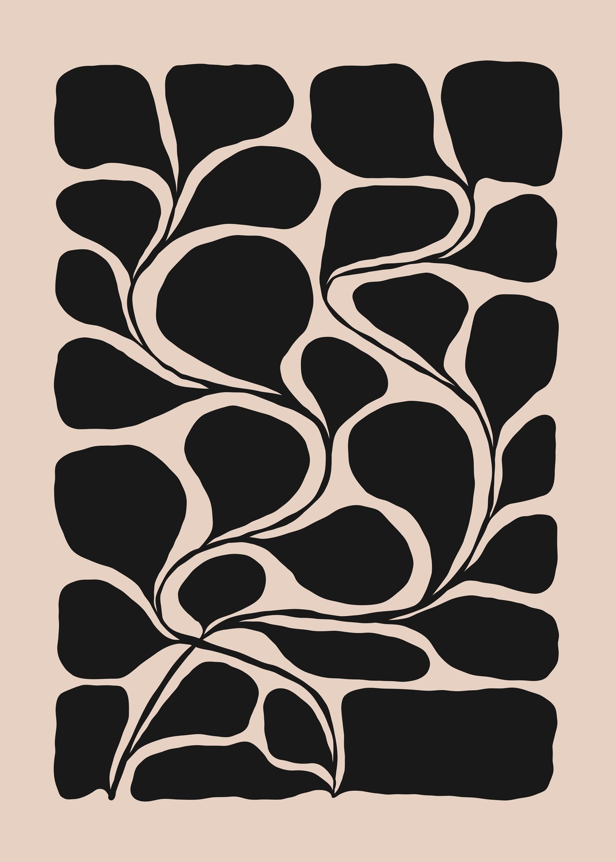Pebble Botanical