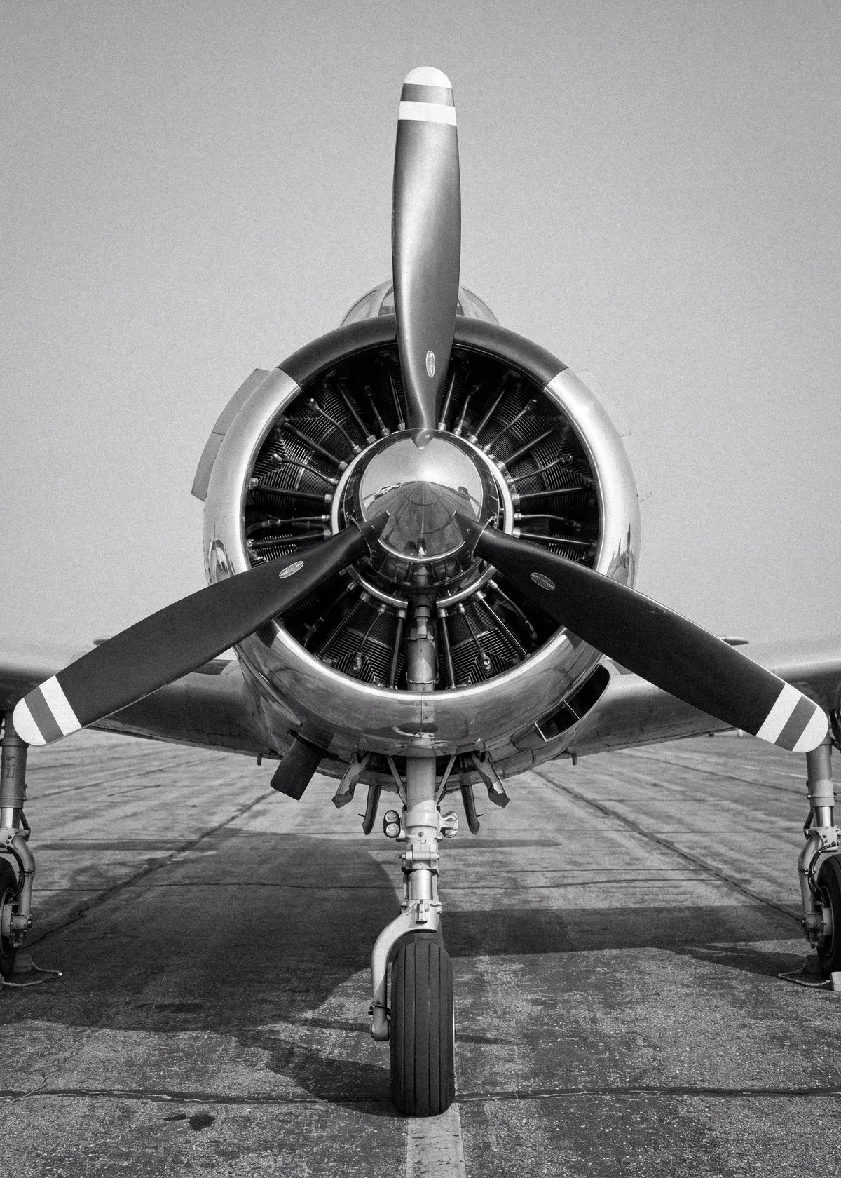 Polished Vintage Aircraft Poster