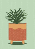 Potted Palm