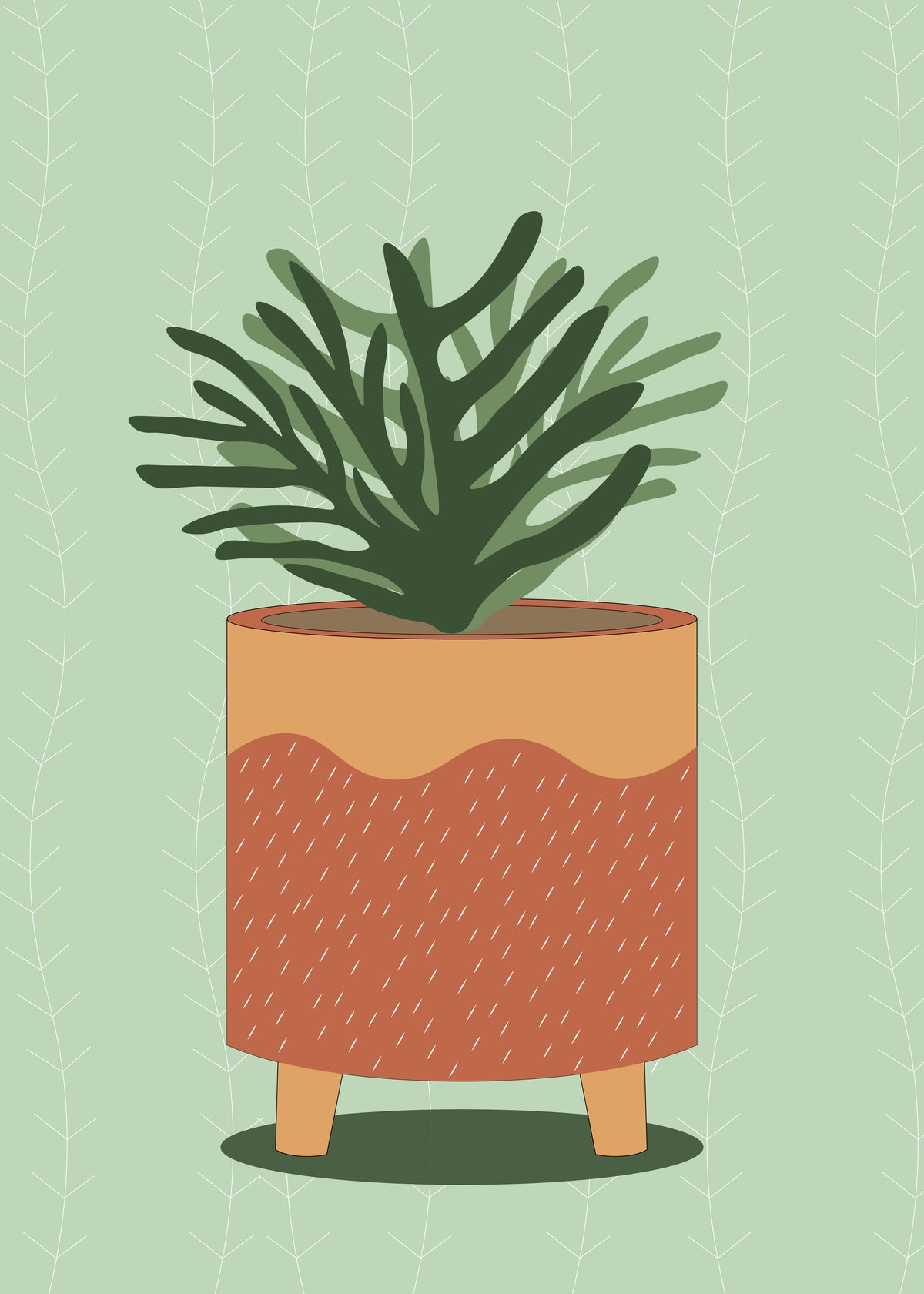 Potted Palm