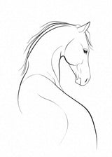 Horse Study Canvas