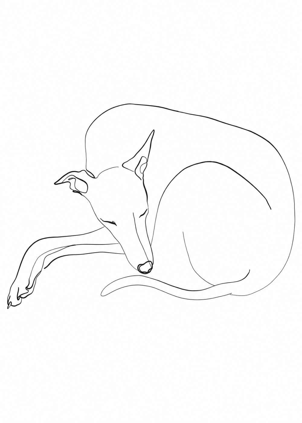 Resting Dog Canvas