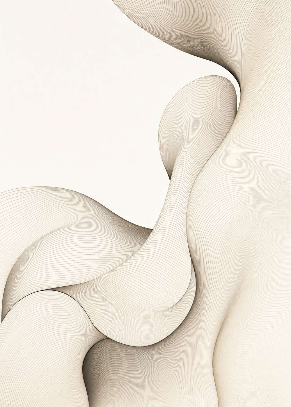 Sculptural Lines Canvas