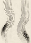 Parallel Drift Canvas