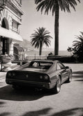 Ferrari Riviera Canvas