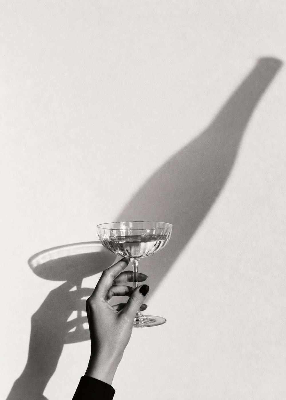 Champagne Shadow Canvas
