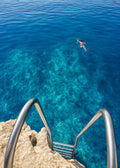Blue Swim Canvas