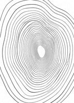Contour No. 01 Canvas