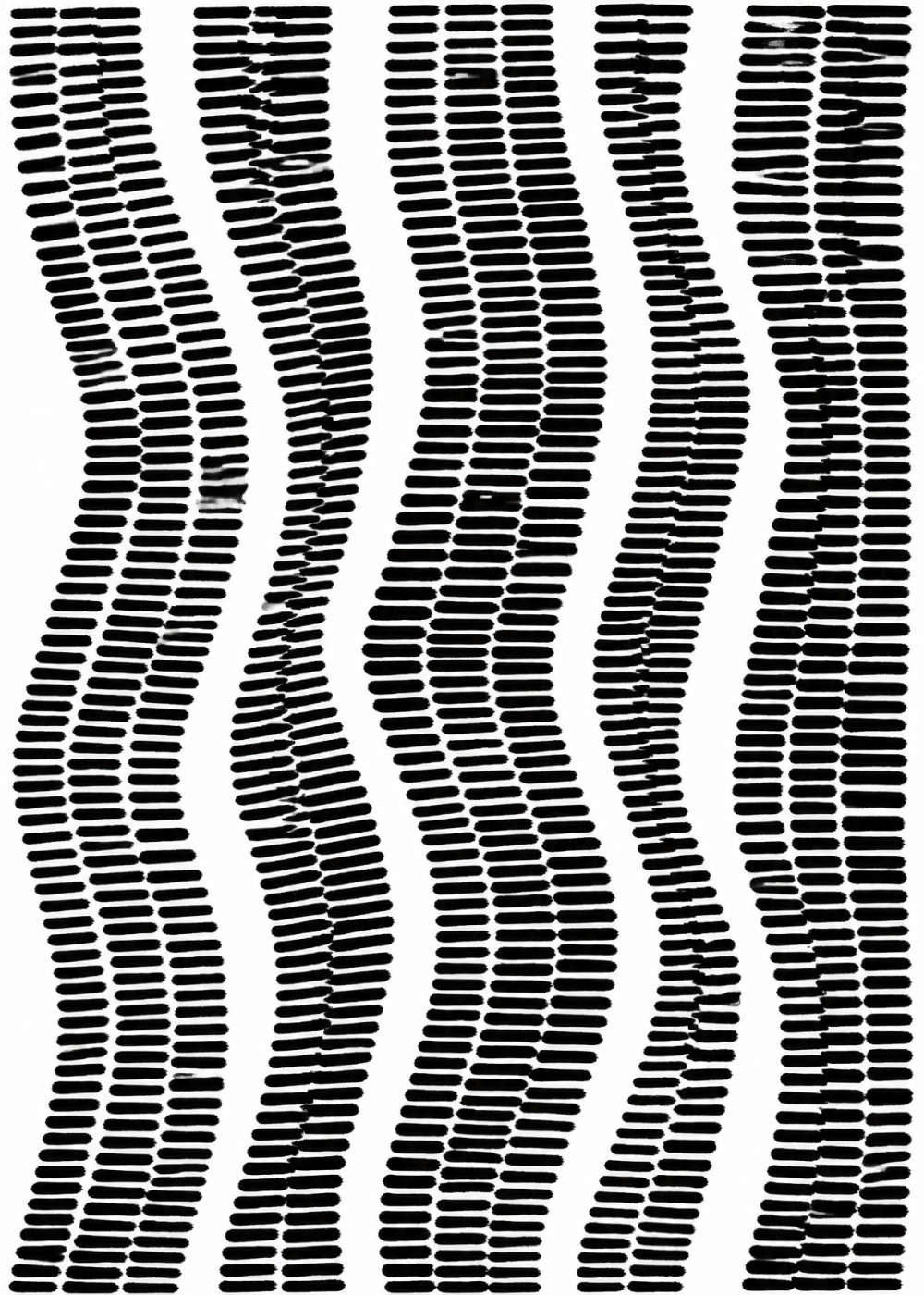 Black Rhythm Poster