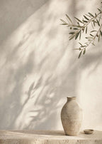 Olive Shadow I Canvas