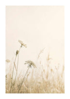 Quiet Meadow Poster
