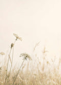 Quiet Meadow Poster