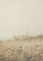 Faded Field Canvas