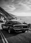Ford Mustang Fastback Poster