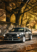 Audi Quattro – Autumn Road Color Canvas