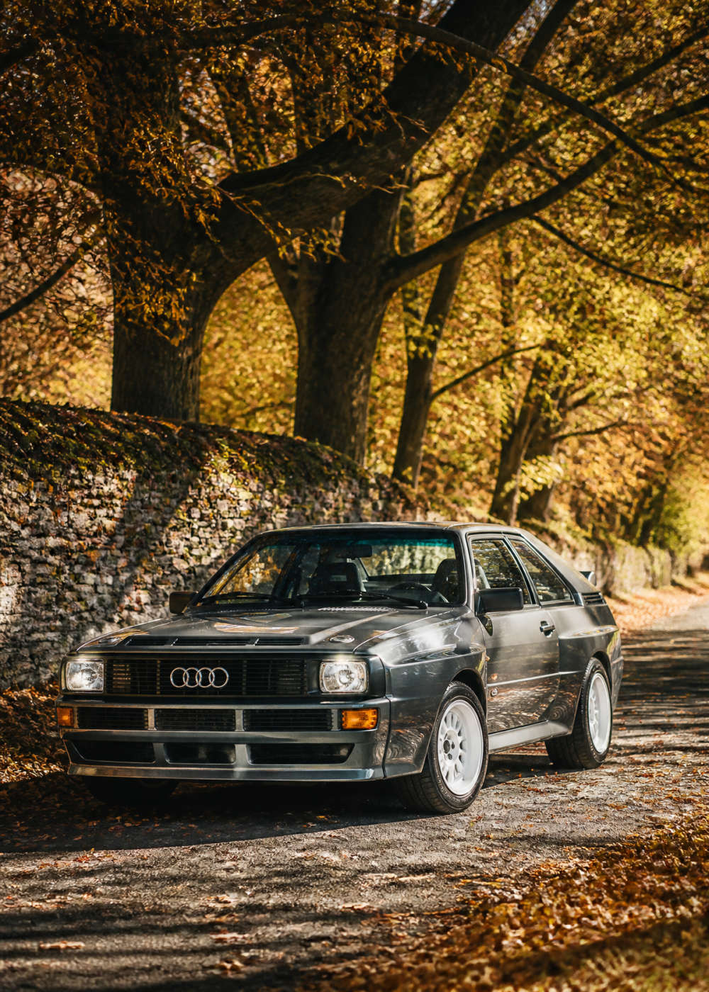 Audi Quattro – Autumn Road Color Canvas