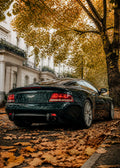 Aston Martin V12 Vanquish – London Leaves Color Poster