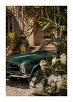 Mercedes-Benz 280 SL Pagoda – Garden Color Poster