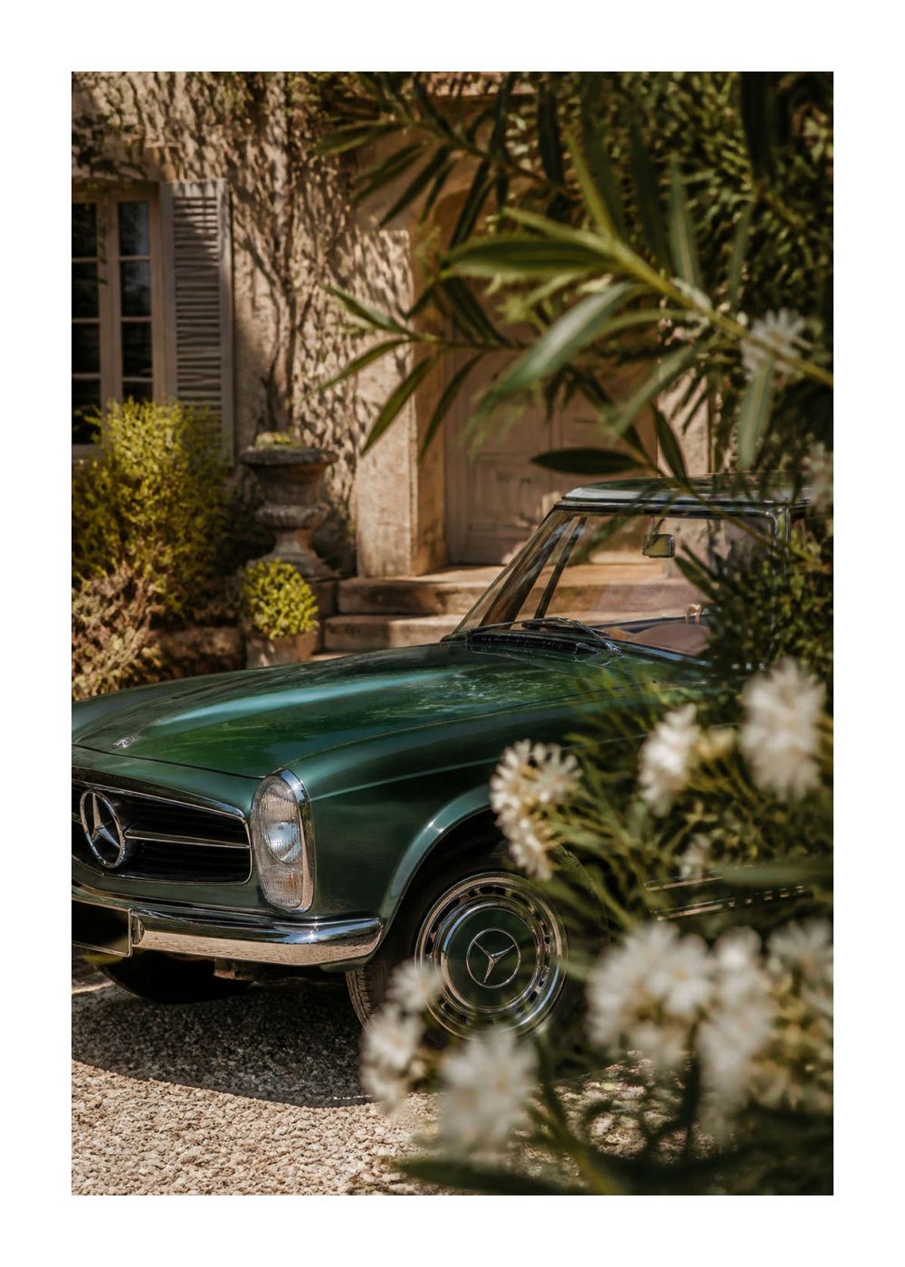Mercedes-Benz 280 SL Pagoda – Garden Color Poster