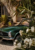 Mercedes-Benz 280 SL Pagoda – Garden Color Poster