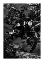 Triumph Scrambler – Autumn Foliage Blackwhite Poster