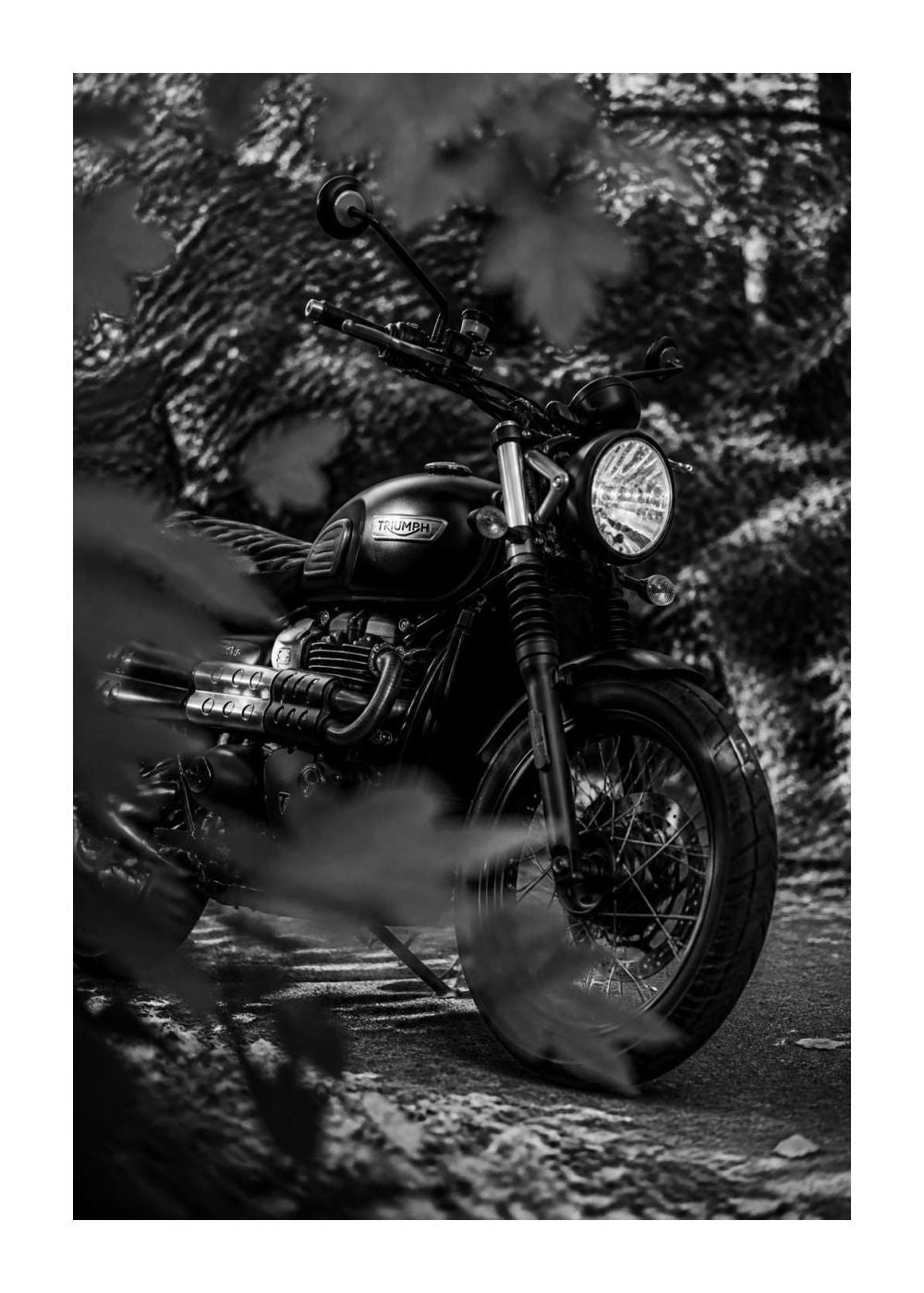 Triumph Scrambler – Autumn Foliage Blackwhite Poster