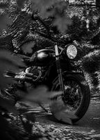 Triumph Scrambler – Autumn Foliage Blackwhite Poster