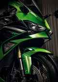 Kawasaki Ninja ZX-6R – Emerald Detail Color Canvas